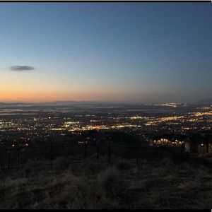 Meet your Posher, Riley